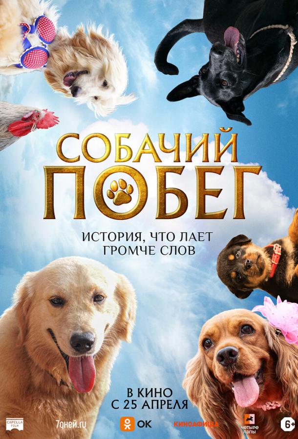 Собачий побег 2023 Смотреть Онлайн Бесплатно в Хорошем Качестве